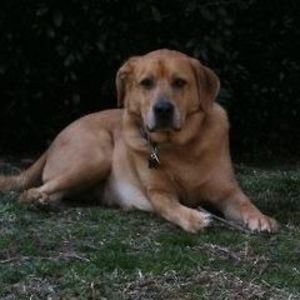 Meet your Posher, Curt